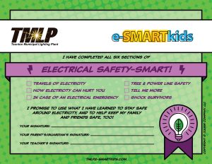 Electrical Safety-SMART certificate